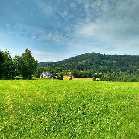 Ostoja