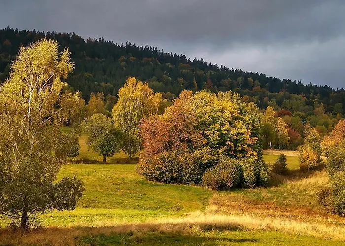 Ostoja Отель типа 